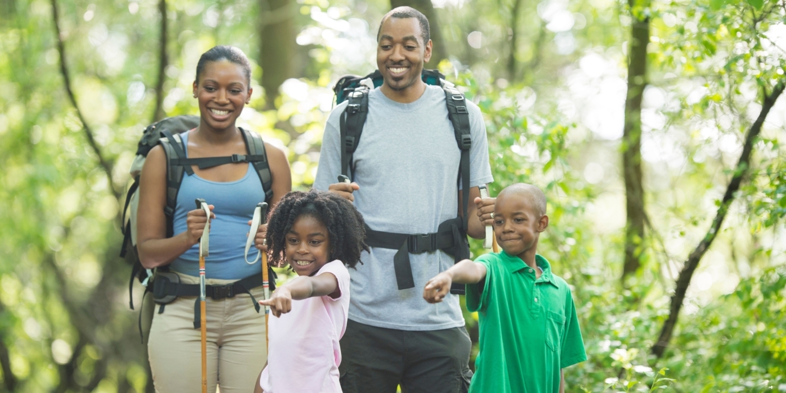 Allergy Season Banner Landscape