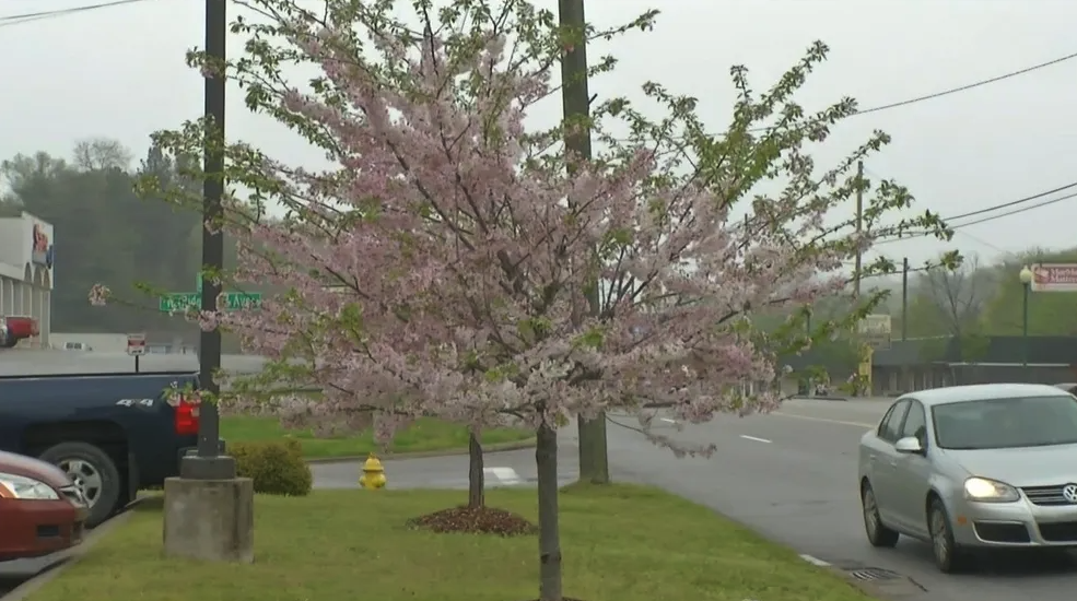 Screen Shot 2020 10 20 at 12 12 07 PM