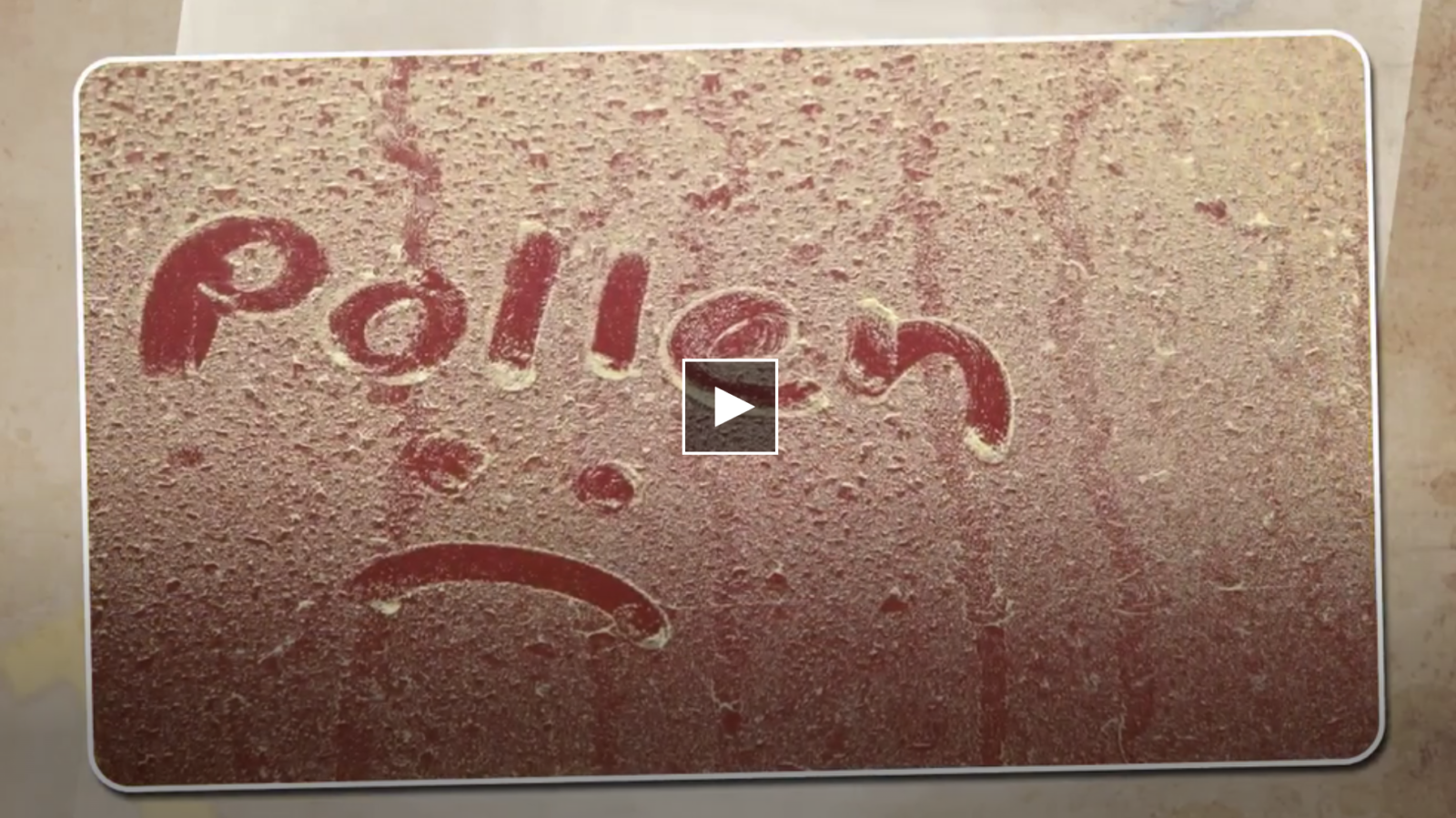 Screen Shot 2022 05 12 at 10 46 48 AM