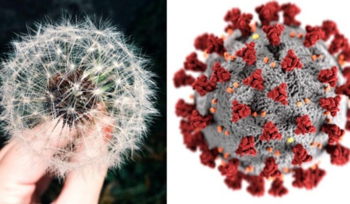 1 7 Nn 2m BM5g5a3iw Z Tn4 4 A