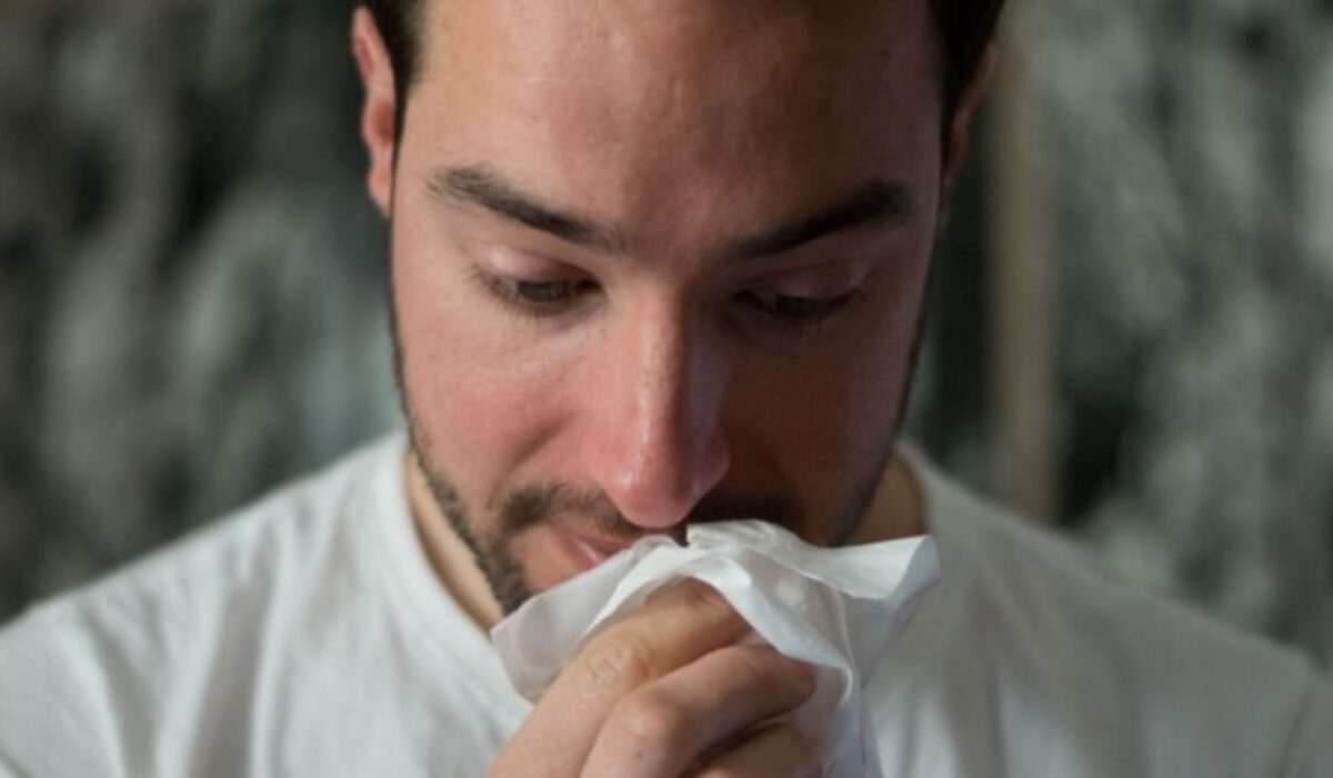 1 8n ED69a Cn0 Vxon H Mf Y1 P6g