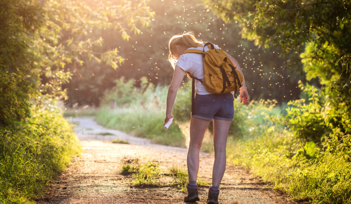 Adobe Stock 364102112