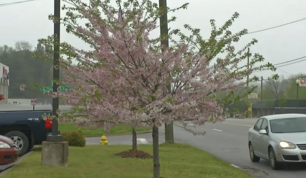 Screen Shot 2020 10 20 at 12 12 07 PM