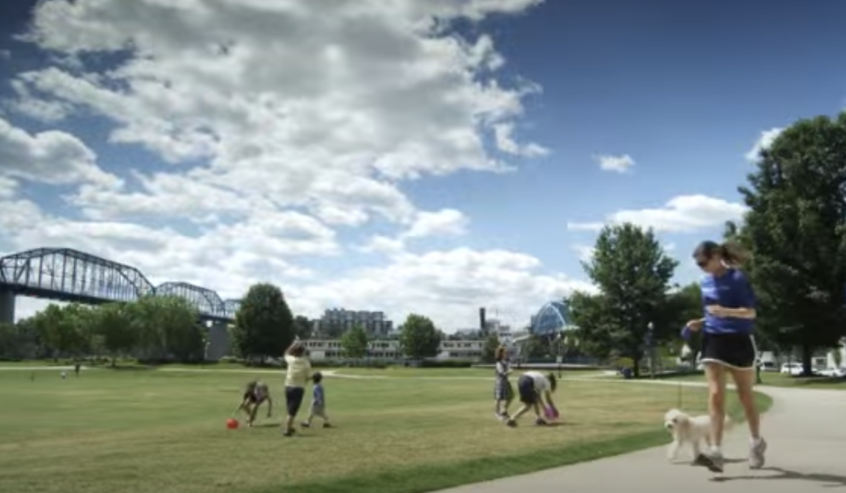 Screen Shot 2020 07 15 at 12 04 16 PM